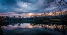 Marais de Montfort