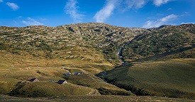 Et au milieu coule une rivière